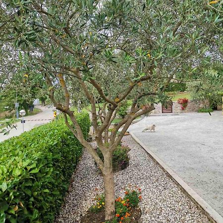 Soba Gracijela Otel Motovun Dış mekan fotoğraf